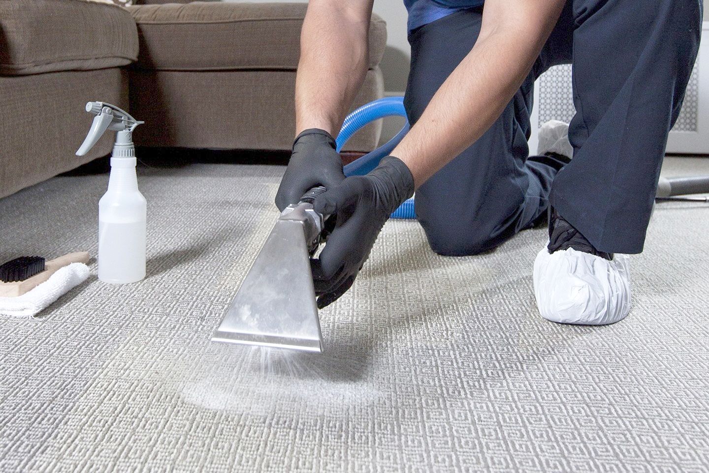 Carpet Cleaning in Easton, Maryland