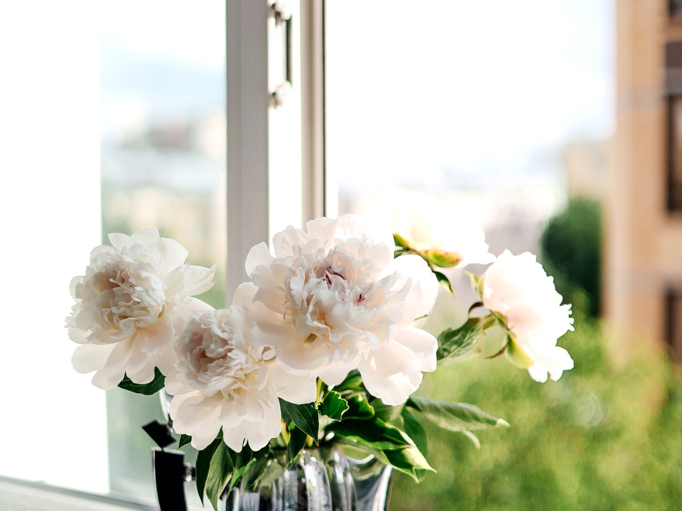 A bright, clean window sill with fresh flowers